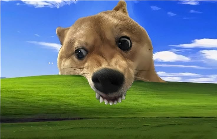 OO